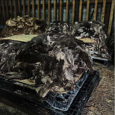 ARCANAの存在意義